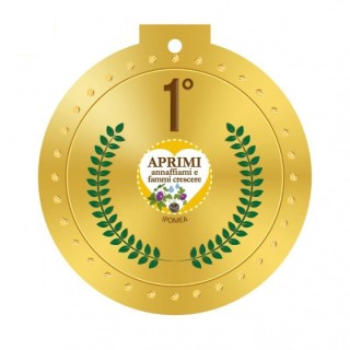 Eco-Decors Medaglia ecologica vivente - Primo posto  (Ipomea)