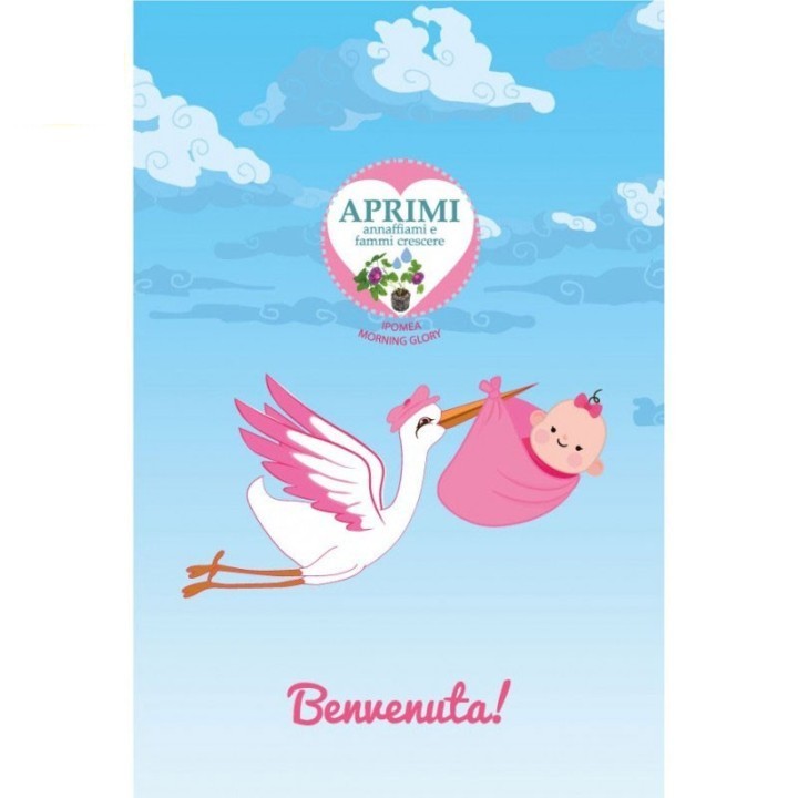 Eco-Postcard Cartolina Ecologica Auguri Nascita bambina - Morning glory