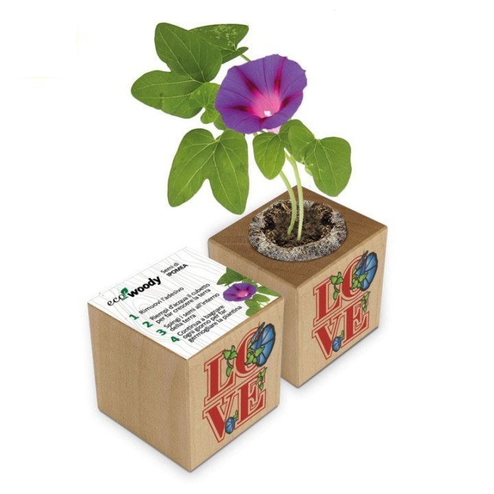 Eco-Woody LOVE cubo di legno con semi di Ipomea