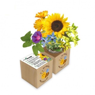 Eco-Woody cubo di legno con fiori amici delle api