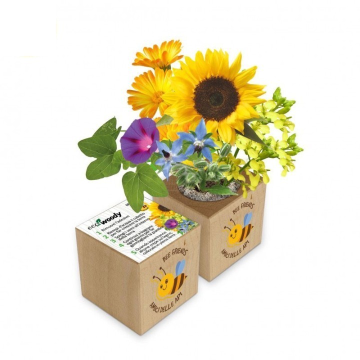 Eco-Woody cubo di legno con fiori amici delle api