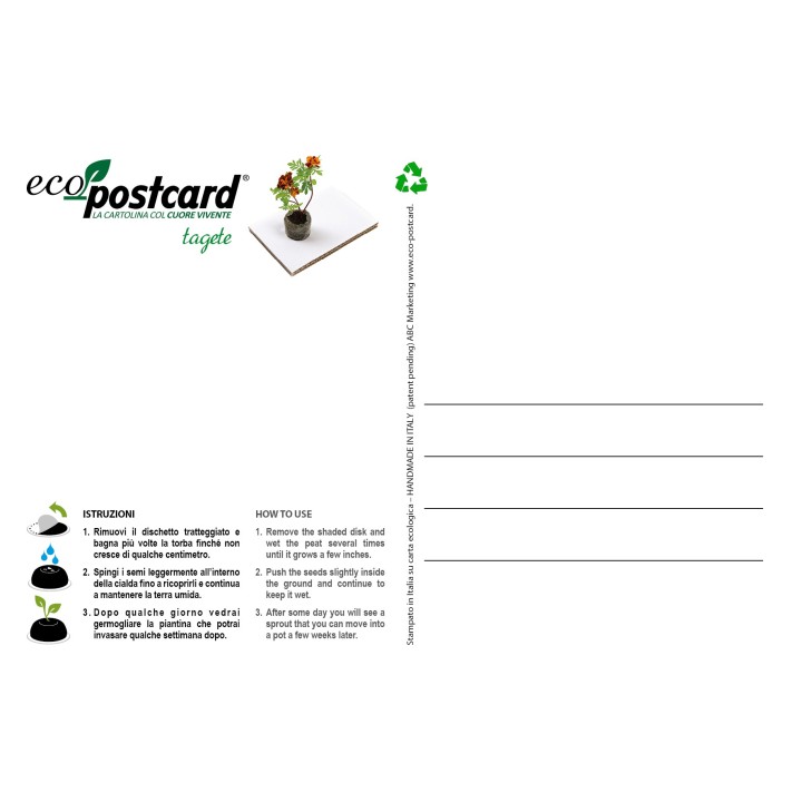 Eco-Postcard Natalizia Presepe vintage | Retro