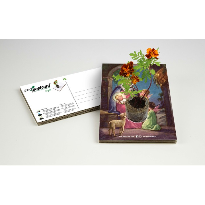Eco-Postcard Natalizia Madonna con Bambino | Con piantina