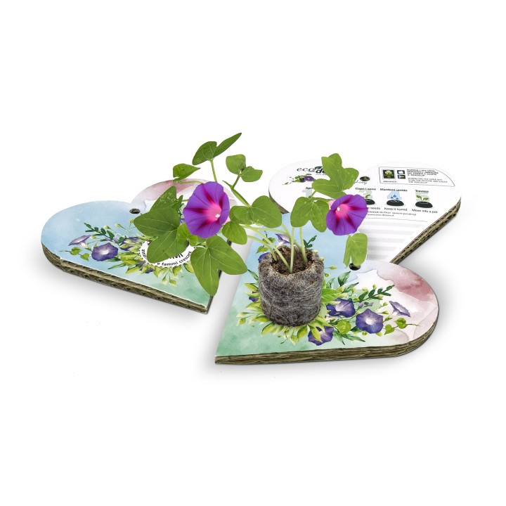 Eco-Decors Biglietto d’auguri Acquarello