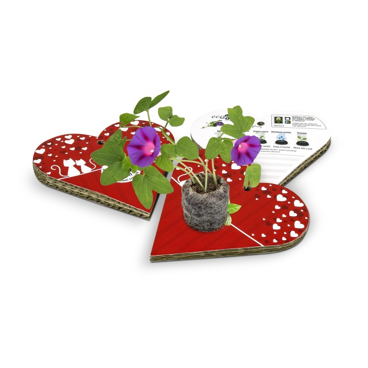 Eco-Decors Biglietto d’auguri Gatti