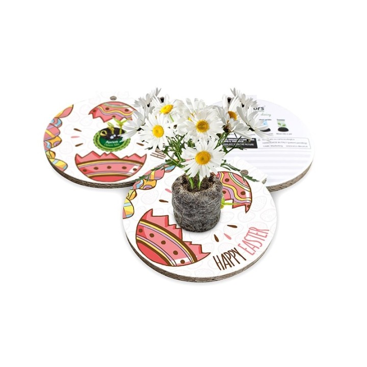 Eco-Decors decorazione ecologica Pasqua Uovo – Margherita