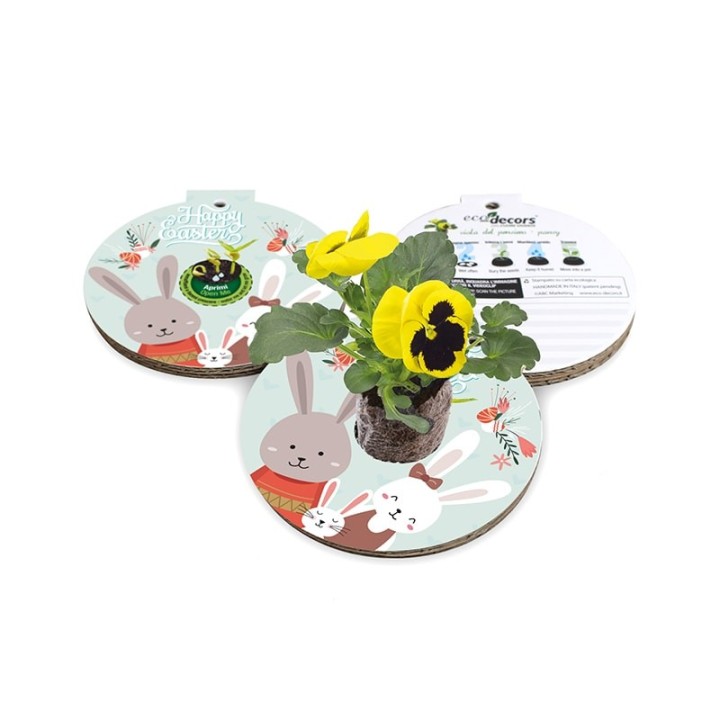 Eco-Decors decorazione ecologica Pasqua Conigli – Viola del pensiero