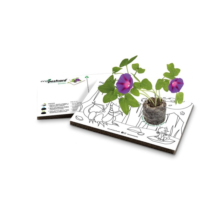 Eco-Postcard colorabile dinosauri - ipomea