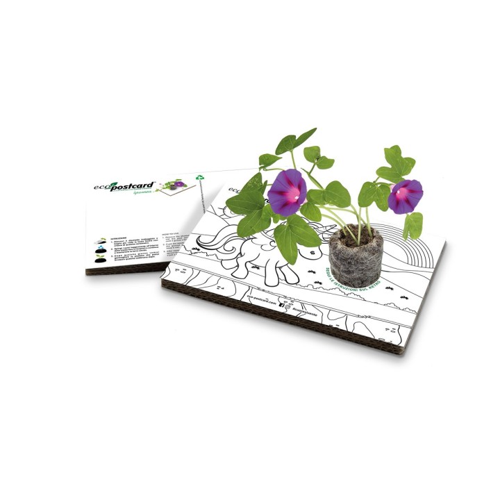Eco-Postcard colorabile unicorno - ipomea
