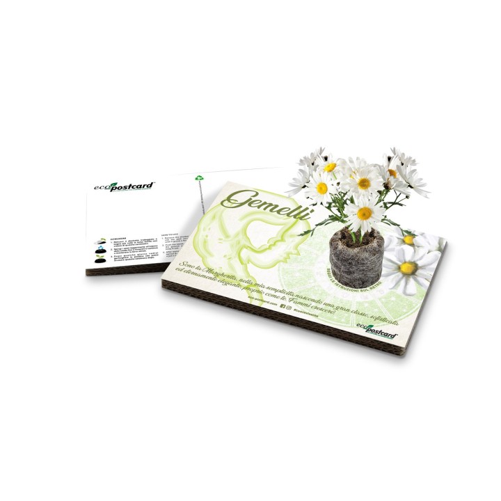 Eco-Postcard zodiaco Gemelli - margherita