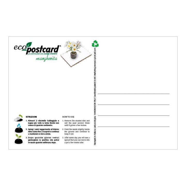 Eco-Postcard zodiaco Gemelli - margherita