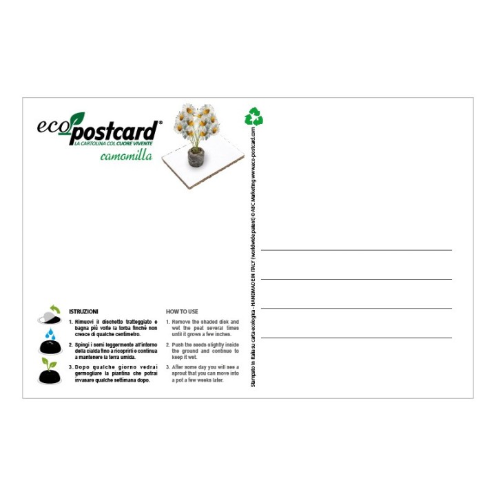 Eco-Postcard zodiaco Cancro - camomilla