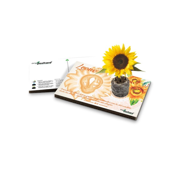Eco-Postcard zodiaco Leone - girasole