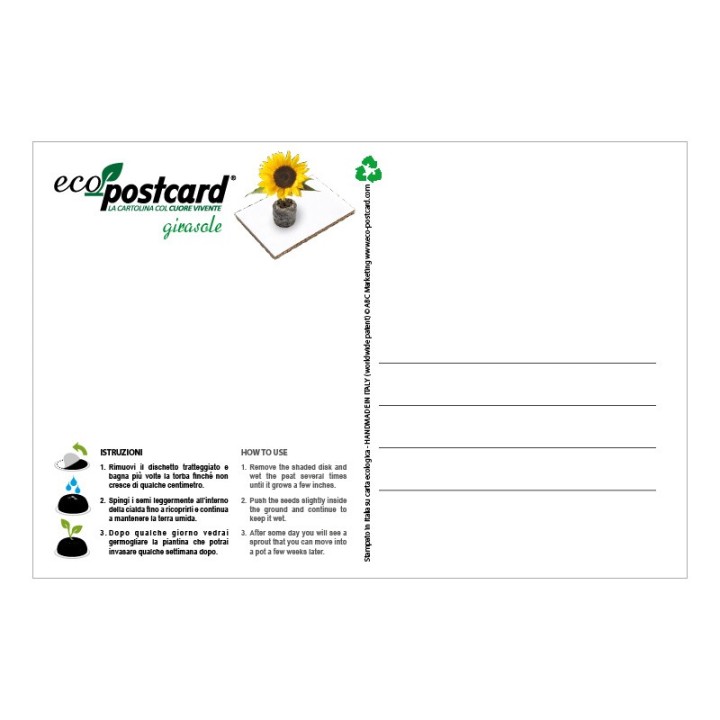 Eco-Postcard zodiaco Leone - girasole