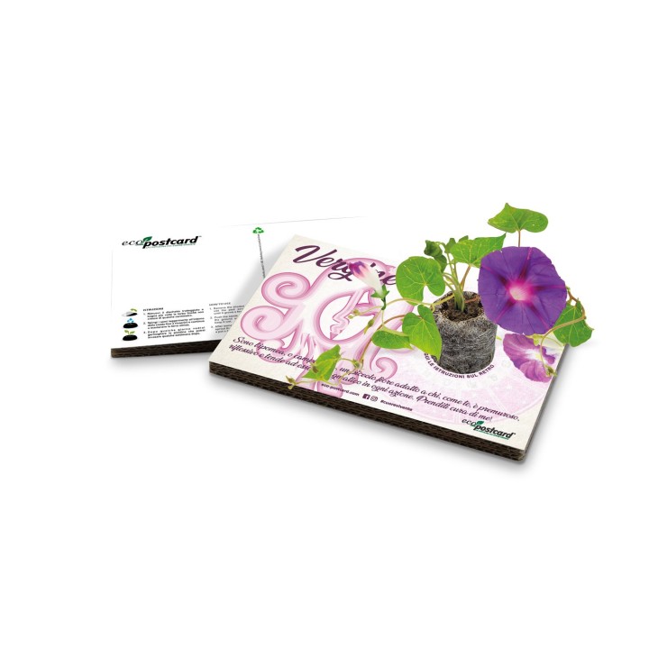 Eco-Postcard zodiaco Vergine - ipomea