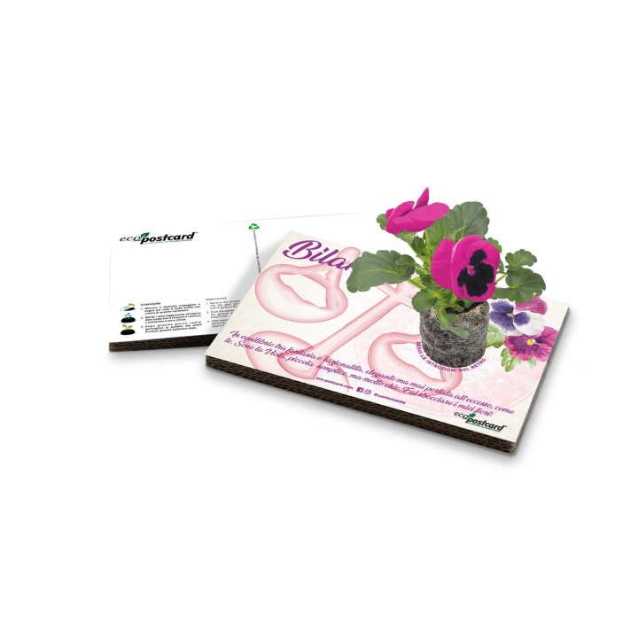 Eco-Postcard zodiaco Bilancia - viola del pensiero