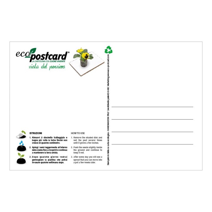 Eco-Postcard zodiaco Bilancia - viola del pensiero