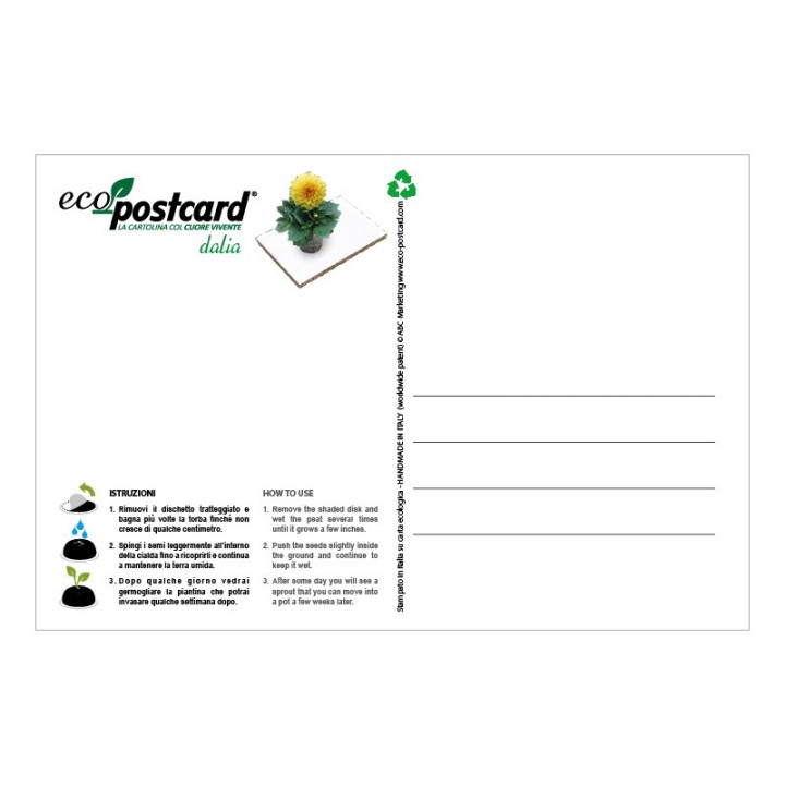 Eco-Postcard zodiaco Scorpione - dalia