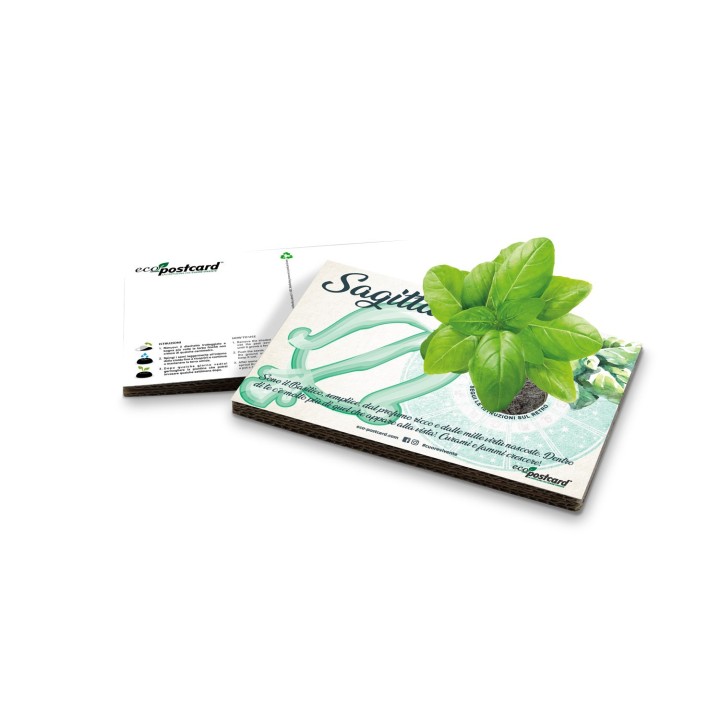 Eco-Postcard zodiaco Sagittario - basilico