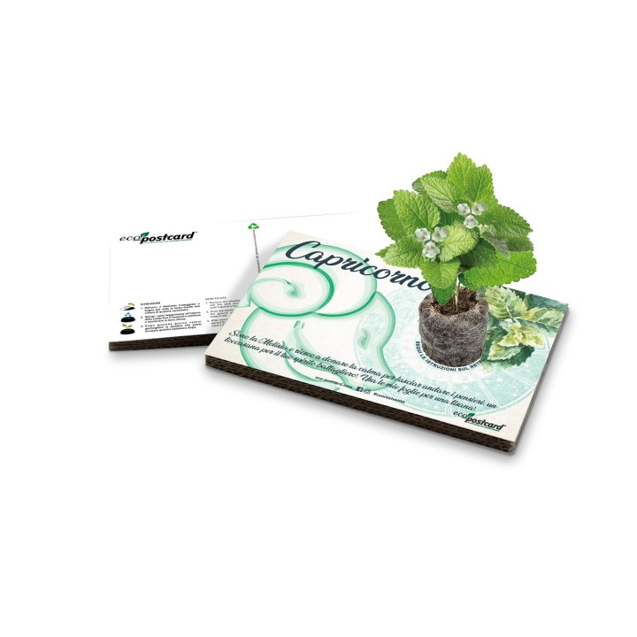 Eco-Postcard zodiaco Capricorno - melissa