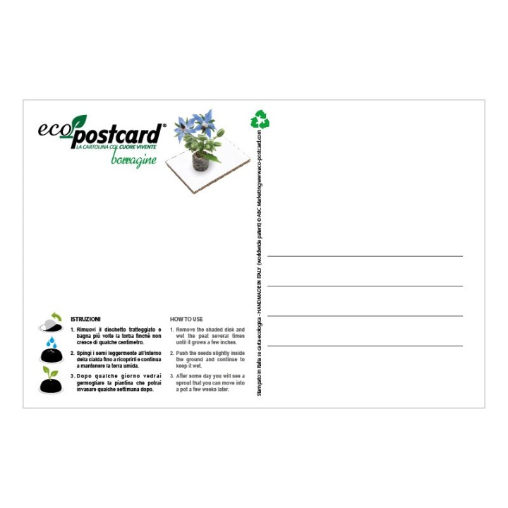 Eco-Postcard zodiaco Acquario - borragine