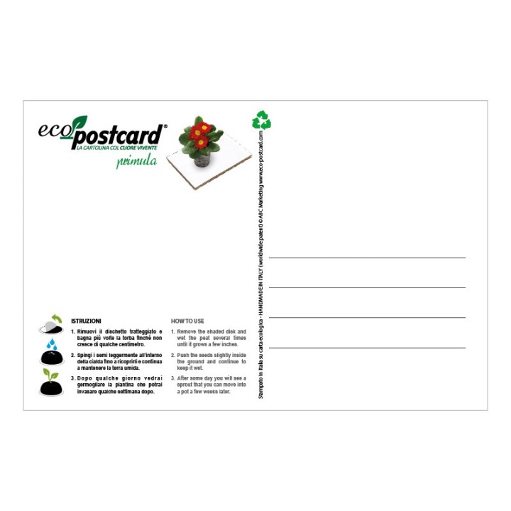 Eco-Postcard zodiaco Pesci - primula