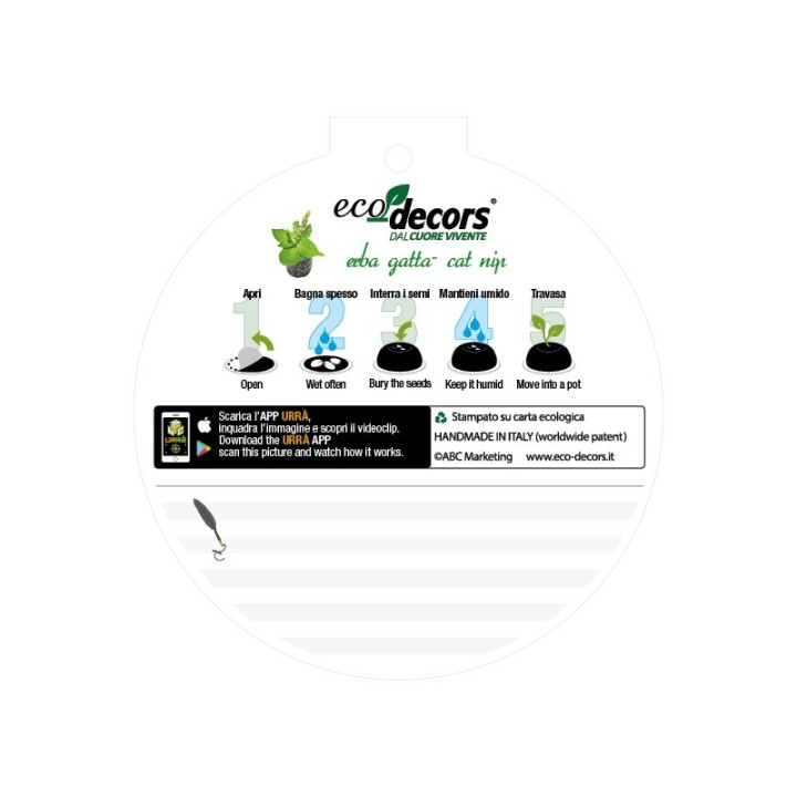 Eco-Decors decorazione ecologica per gatti, con semi di erba gatta