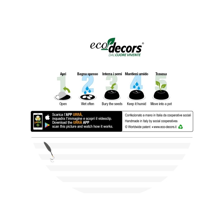 Eco-Decors Medaglia ecologica vivente - Primo posto  (Ipomea)