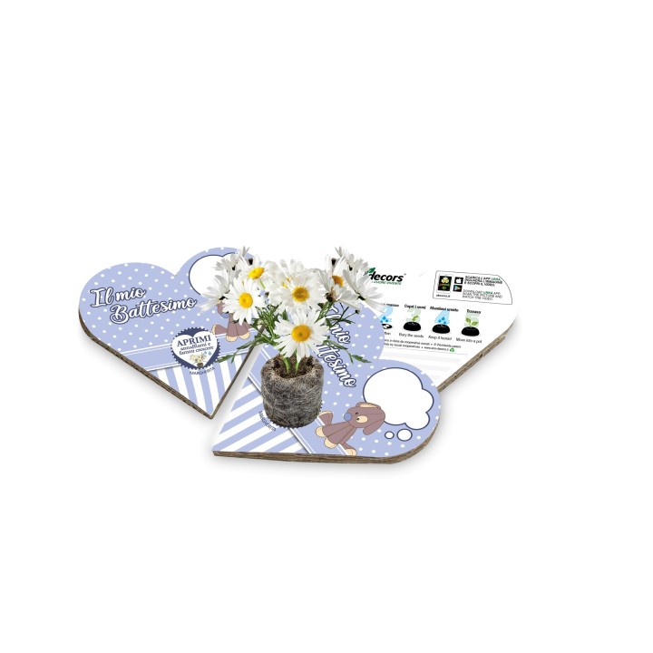 Eco-Decors Bomboniera ecologica per Battesimo Bambino - Margherita