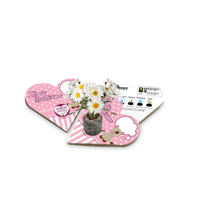 Eco-Decors Bomboniera ecologica per Battesimo Bambina - Margherita