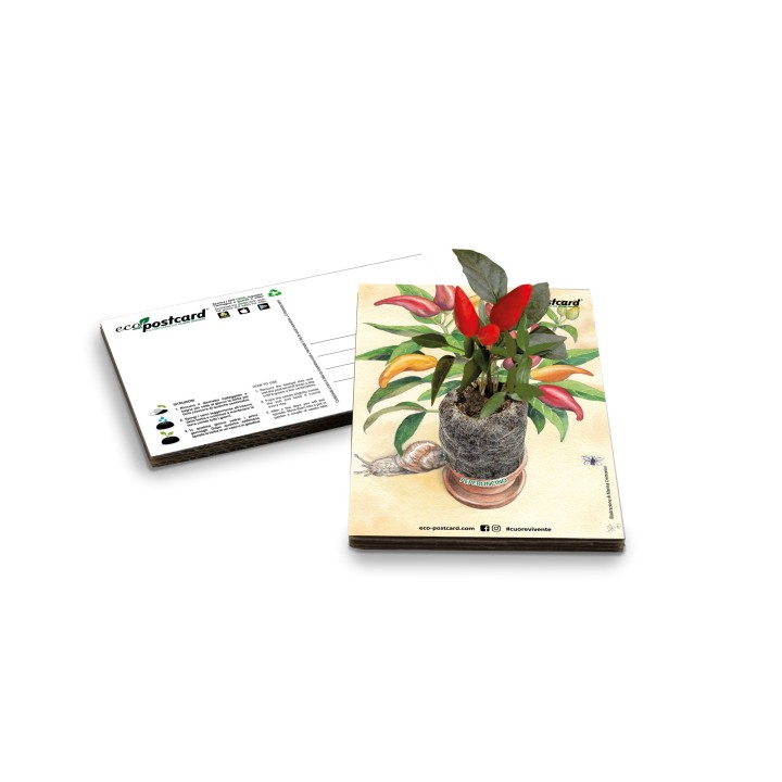 Eco-Postcard cartolina illustrazione ad acquerello - Peperoncino