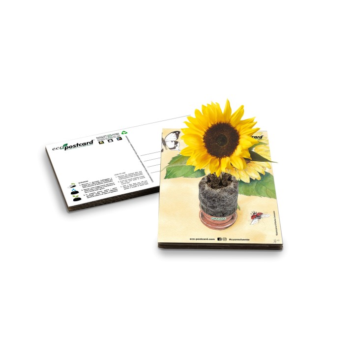 Eco-Postcard cartolina illustrazione ad acquerello - Girasole