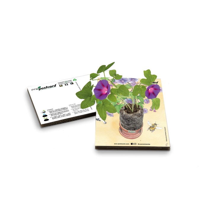 Eco-Postcard cartolina illustrazione ad acquerello - Ipomea
