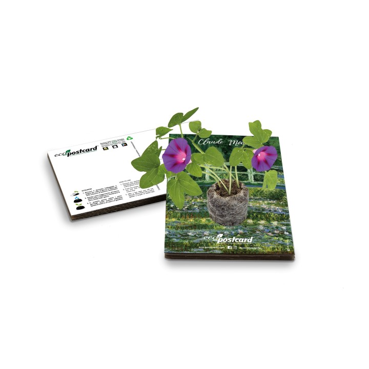 Eco-Postcard cartolina artistica Girasoli Van Gogh con Realtà Aumentata