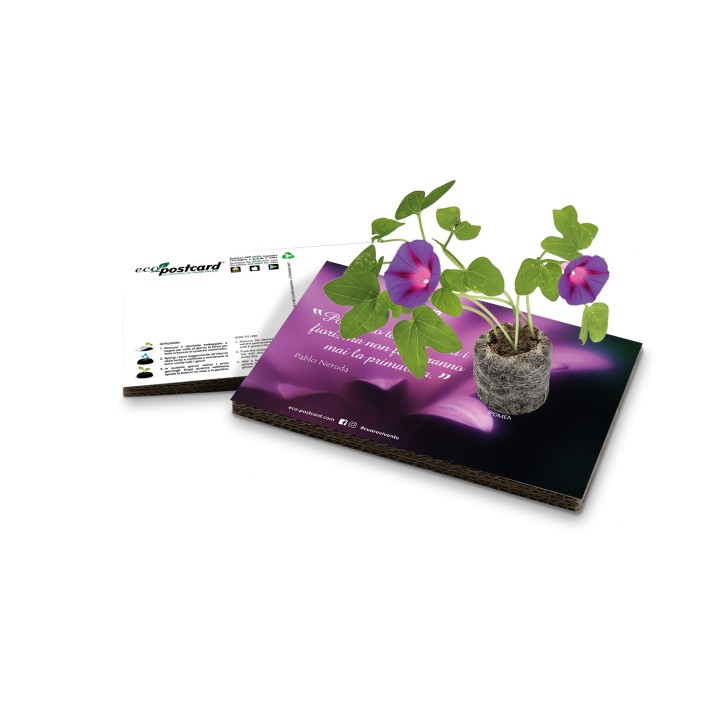 Eco-Postcard cartolina citazione Pablo Neruda