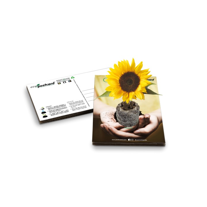 Eco-Postcard cartolina ecologica Green Greetings