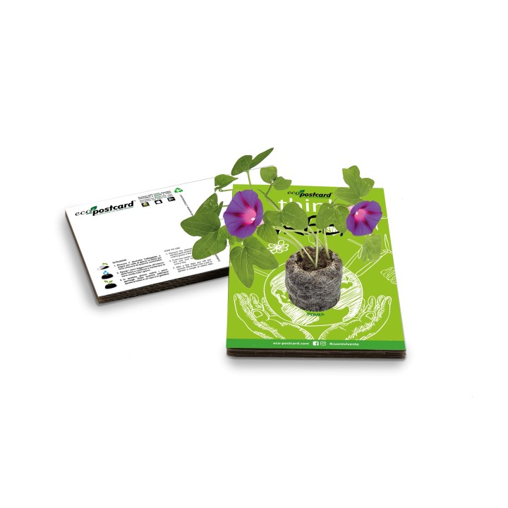 Eco-Postcard cartolina ecologica Think Green