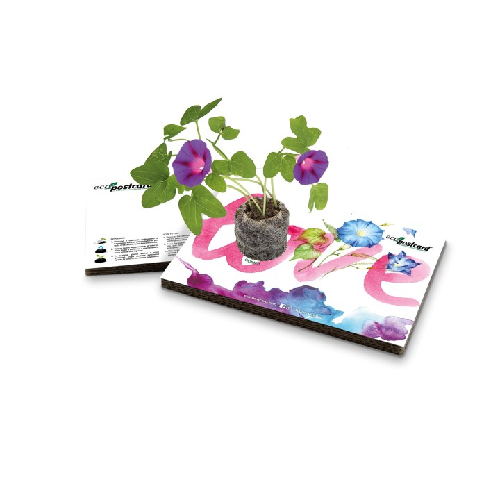 Eco-Postcard cartolina auguri San Valentino