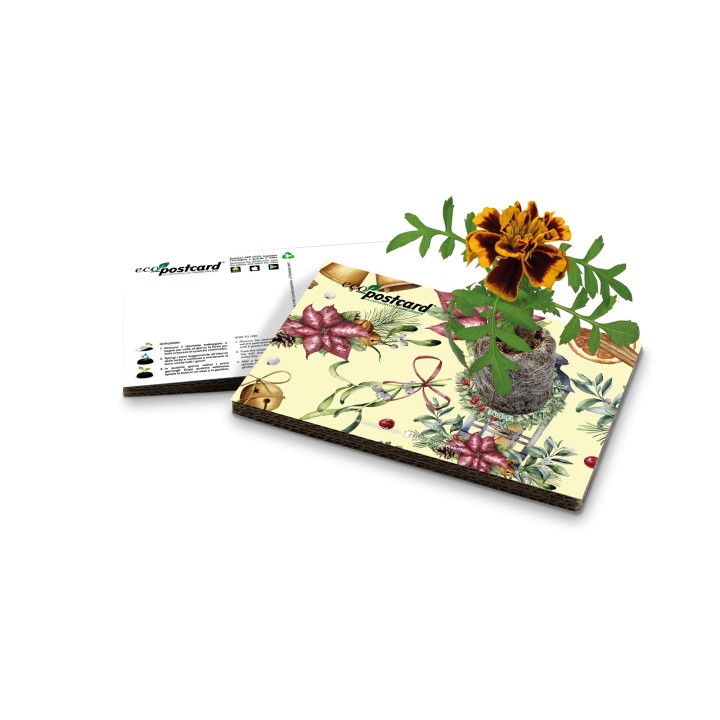 Eco-Postcard Natalizia Fiocchi - tagete