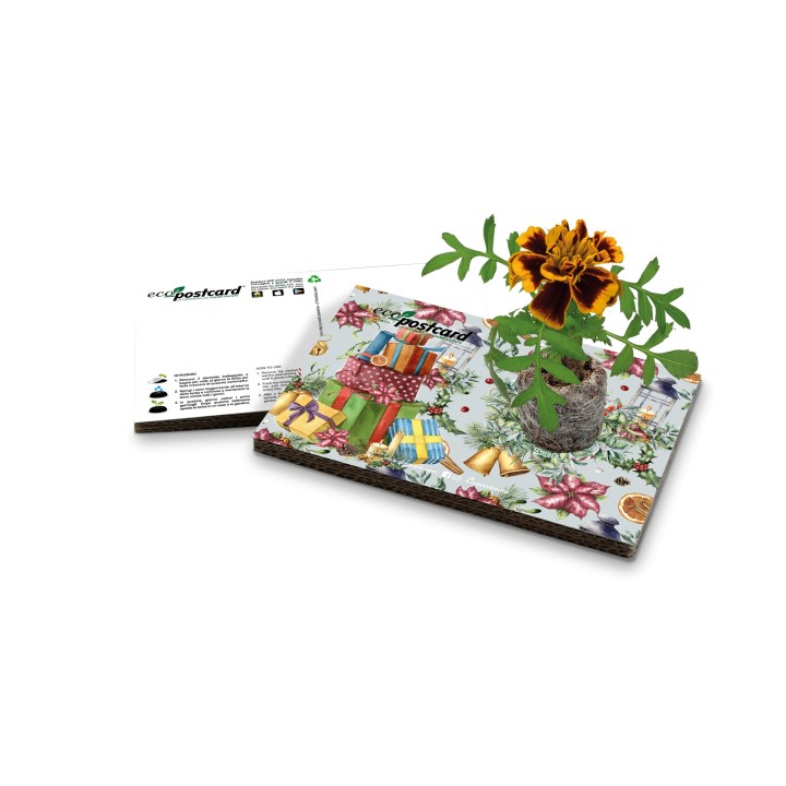 Eco-Postcard Natalizia con Pacchi regalo - tagete