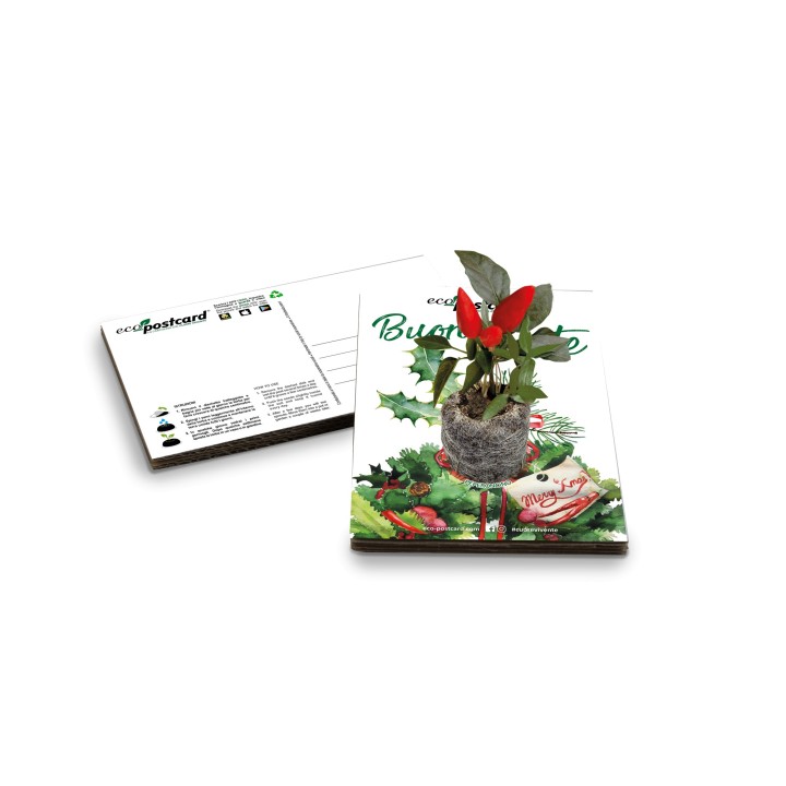 Eco-Postcard Natalizia Buone feste -  peperoncino