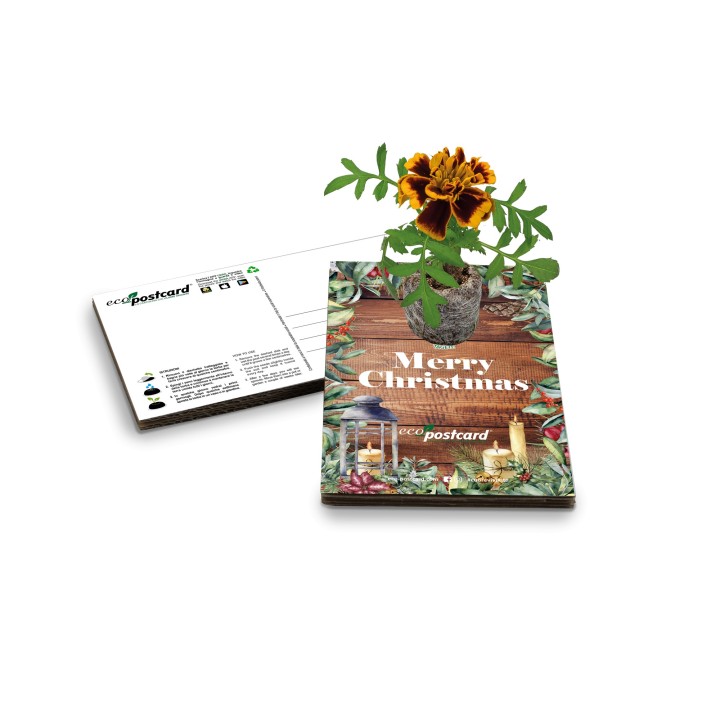 Eco-Postcard Natalizia Merry Christmas - tagete