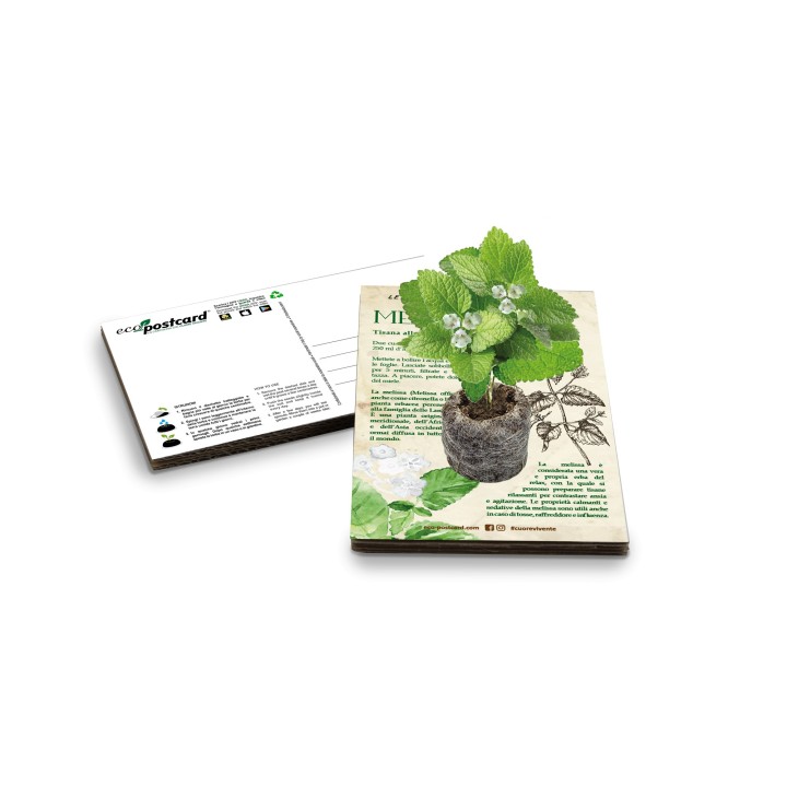 Eco-Postcard pianta officinale - Melissa