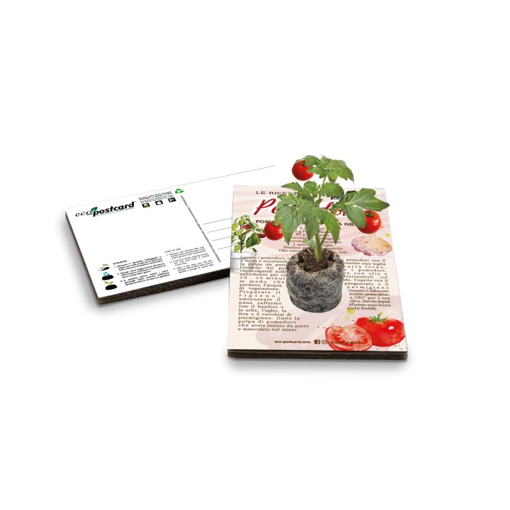 Eco-Postcard con Ricetta Pomodori gratin