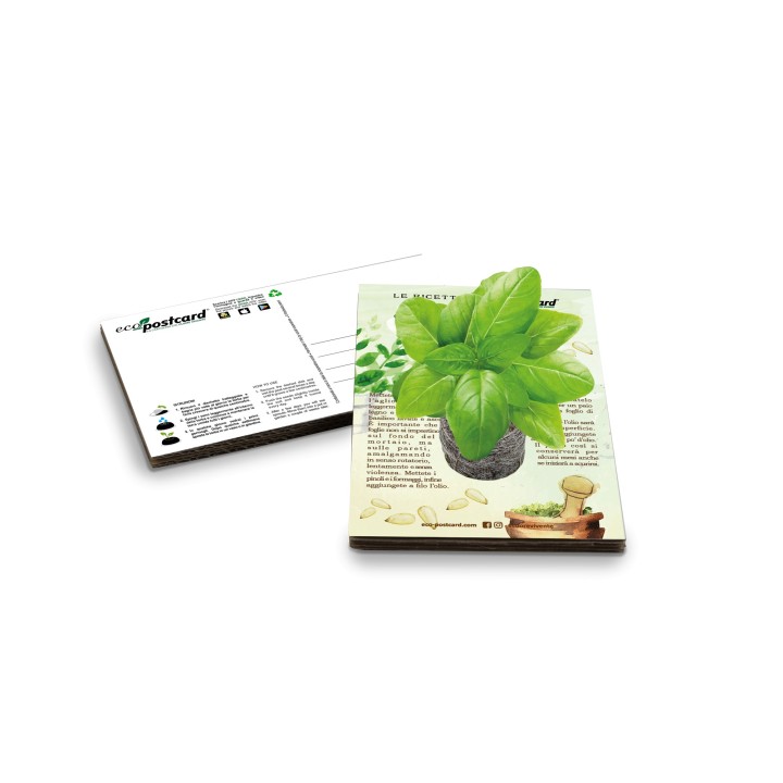 Eco-Postcard con Ricetta Pesto alla genovese