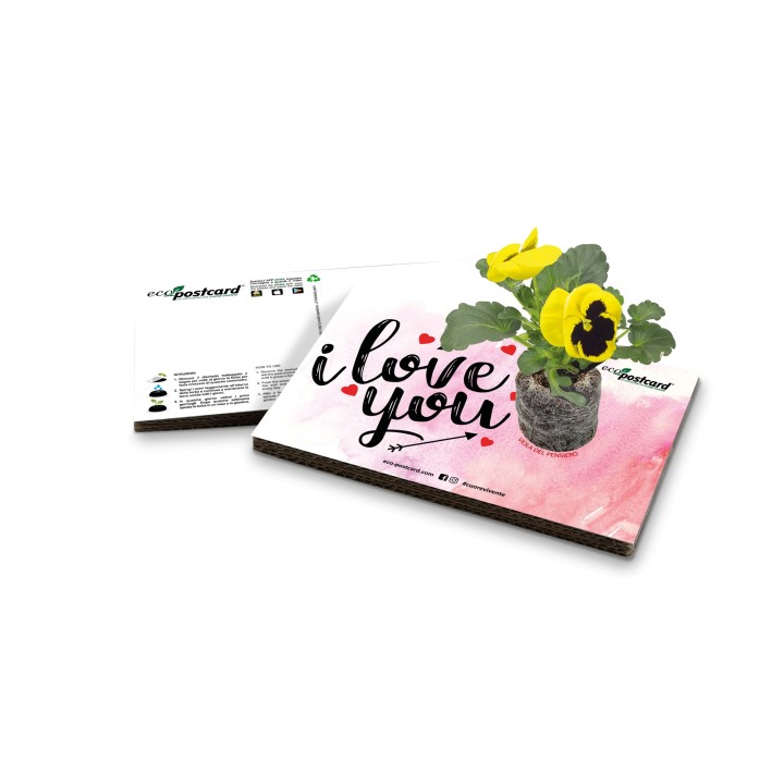 Eco-Postcard da regalare per San Valentino - Viola del pensiero