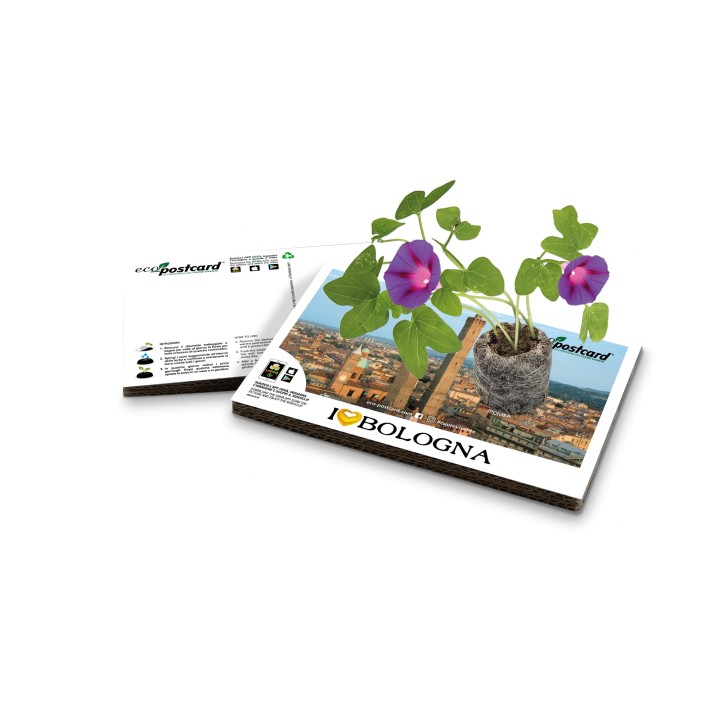 Eco-Postcard Turistica I Love Bologna - Ipomea