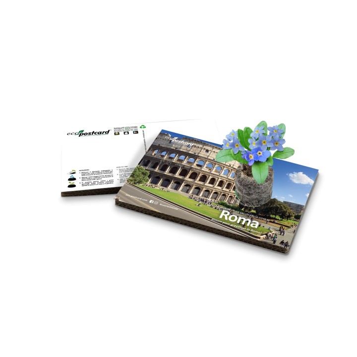 Eco-Postcard cartolina souvenir Colosseo Roma - Nontiscordardimé