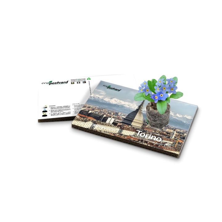 Eco-Postcard cartolina souvenir Mole Antonelliana 