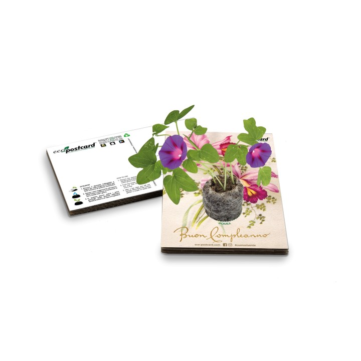Eco-Postcard cartolina di auguri vintage - Ipomea